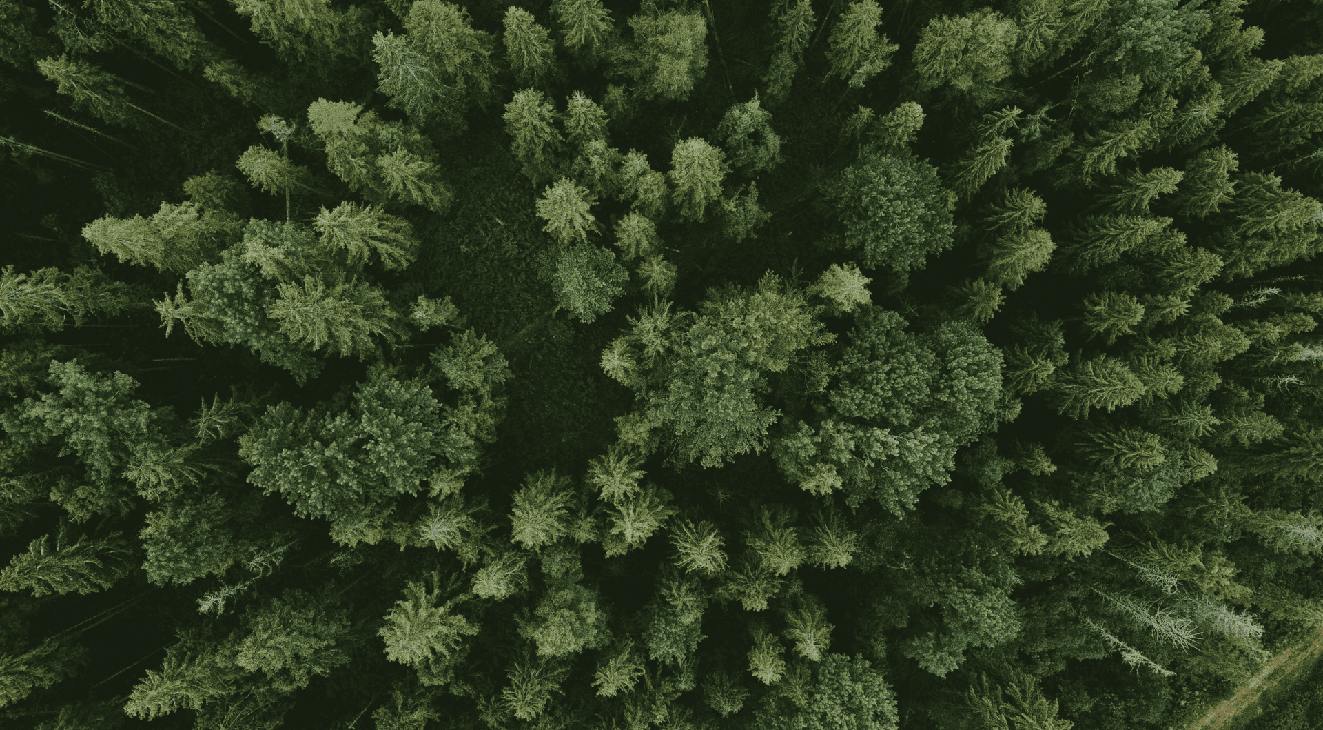 FSC®