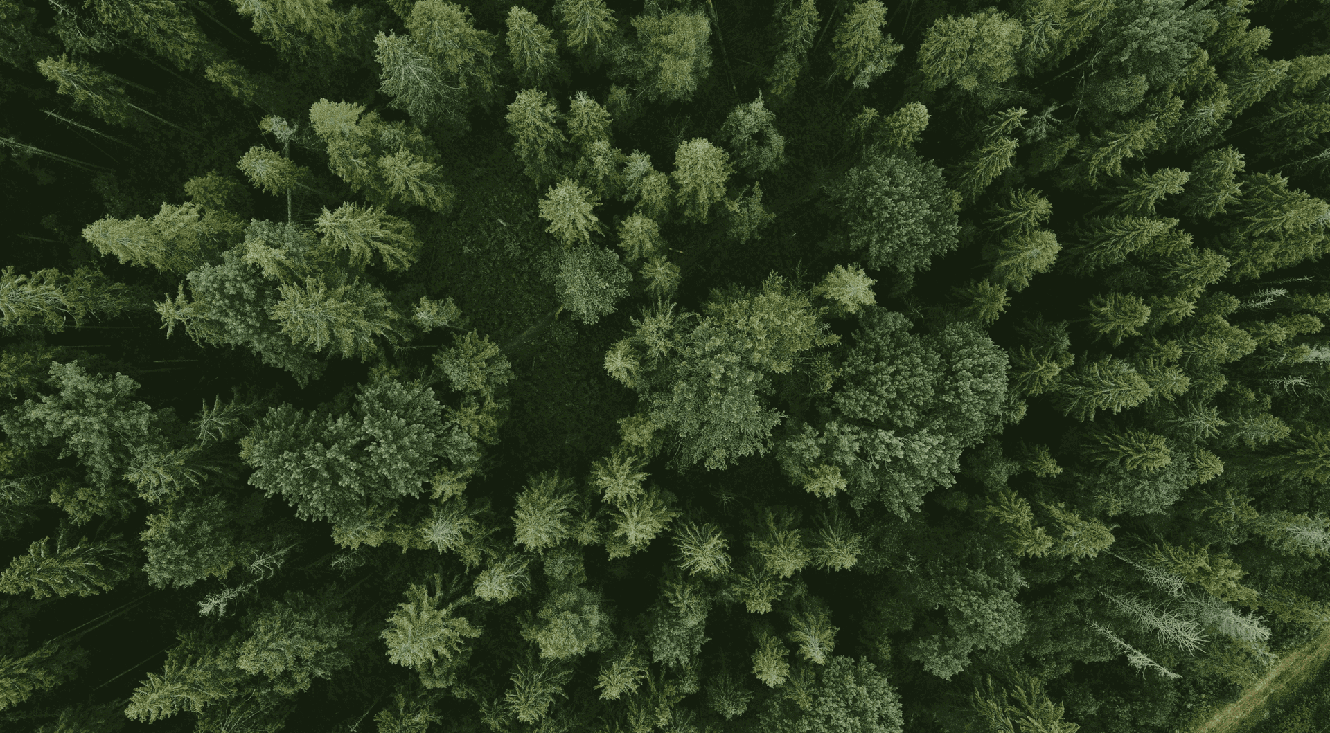 FSC®